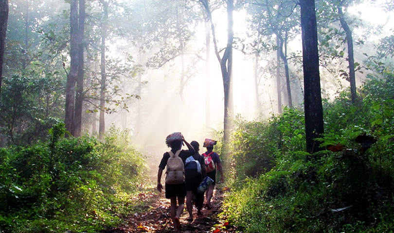 Sabarimala Pilgrim Package